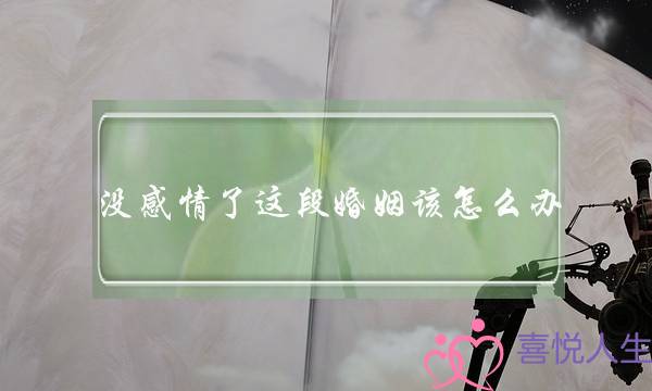 没感情了这段婚姻该怎么办(没有感情的婚姻怎么处理最好)