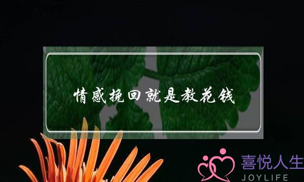 情感挽回就是教花钱