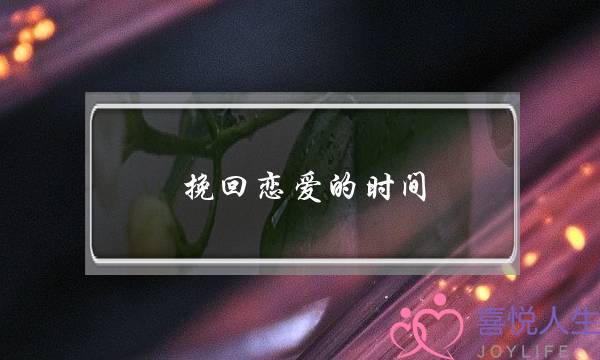 挽回恋爱的时间