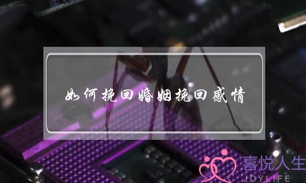 如何挽回婚姻挽回感情