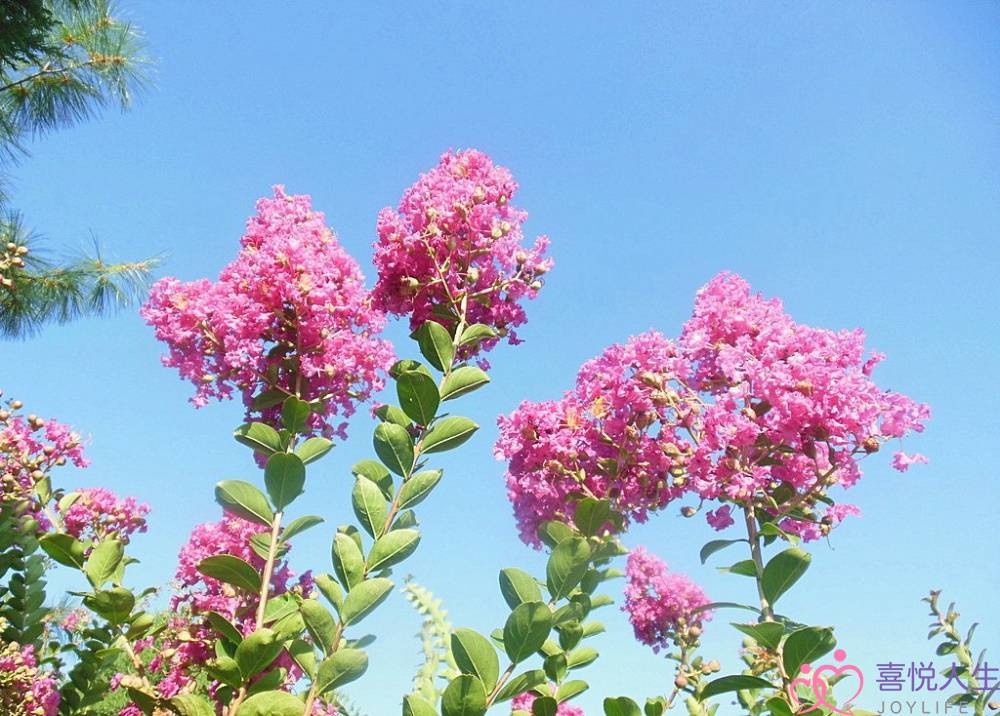 最不会挽回女友的星座(不吃“回头草”的星座)