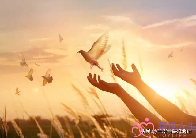 处于平淡期的夫妻，应该这么做？