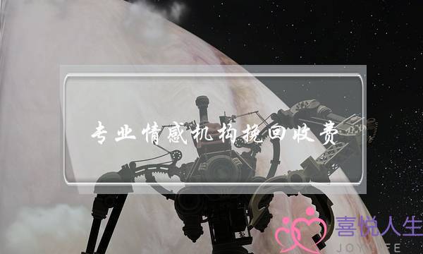 专业情感机构挽回收费