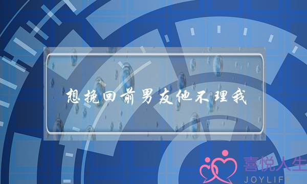 想挽回前男友他不理我(想挽回前男友他不理我怎么办)