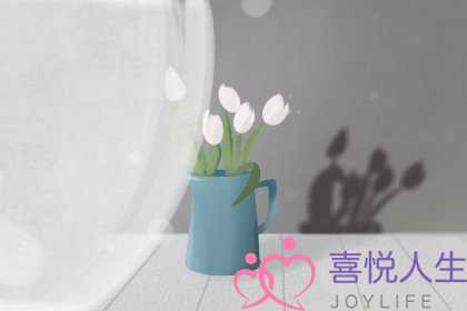 双子座
