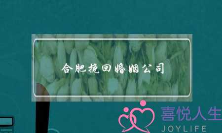 合肥挽回婚姻公司(合肥情感挽回公司)