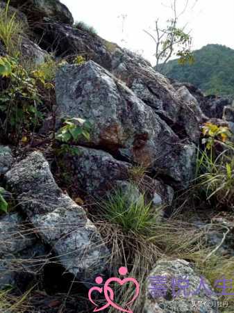 男人在女人面前诉苦心理，一个人愿意跟你诉苦