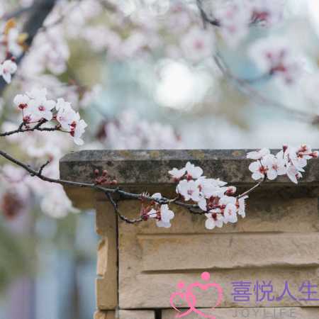 重阳前后心有悸动，爱神眷顾，挽回旧爱，余生风雨同舟，真情依旧